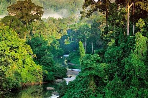 Borneo: A Photographic Portrait of an Island Paradise - Where Ancient Rainforests Meet Modernity's Embrace